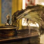 pen, history, ink, antique, retro, vintage, quill pen, writing, feather, literature, ancient, calligraphy, brown writing, brown vintage, brown history, brown retro, quill pen, quill pen, quill pen, quill pen, quill pen