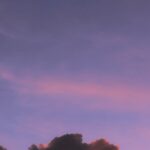 silhouette of trees under cloudy sky during daytime