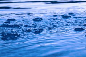 A group of bubbles floating on top of a body of water